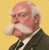 Otto Brumwald